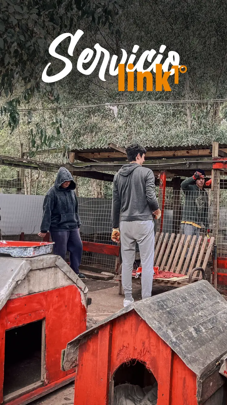 Servicio Link 1° - Refugio de Perros