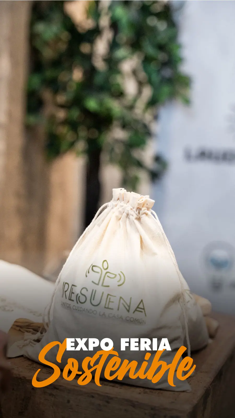 Expo Feria Sostenible